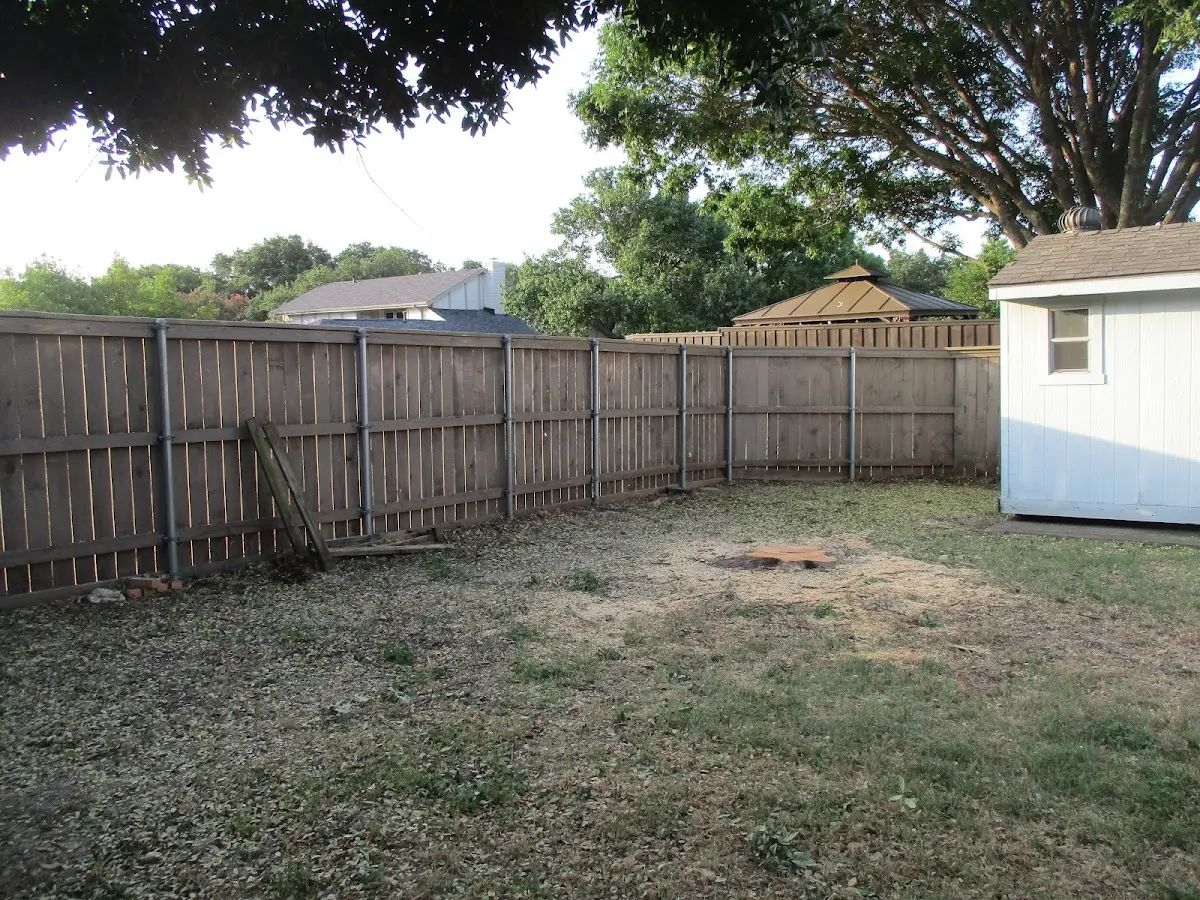 Cleared yard after professional tree removal in Dayville
